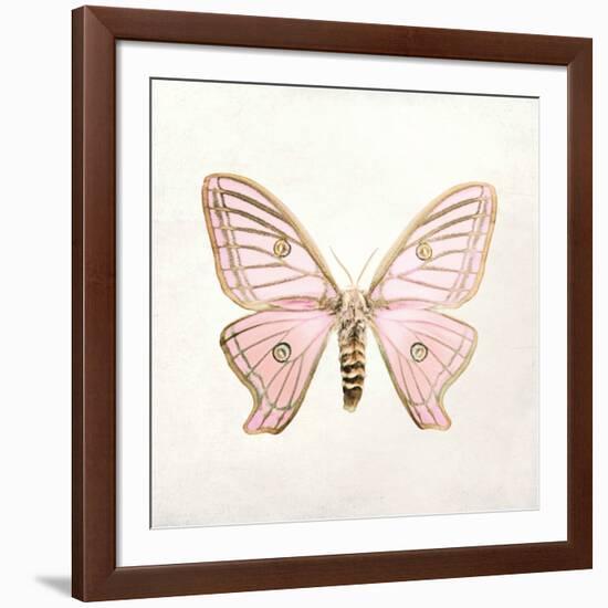 Butterfly Impression IV-Irene Suchocki-Framed Giclee Print