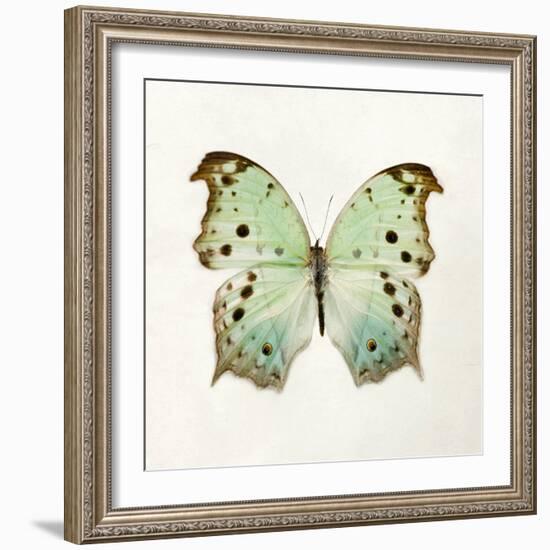 Butterfly Impression-Irene Suchocki-Framed Giclee Print