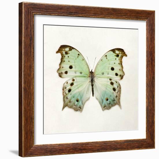 Butterfly Impression-Irene Suchocki-Framed Giclee Print