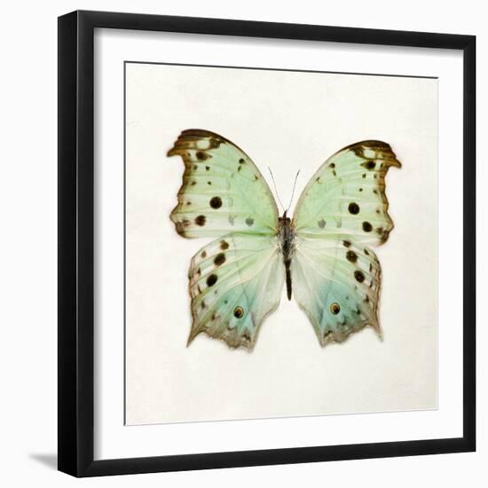 Butterfly Impression-Irene Suchocki-Framed Giclee Print