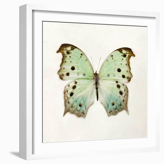 Butterfly Impression-Irene Suchocki-Framed Giclee Print