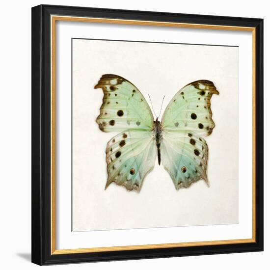 Butterfly Impression-Irene Suchocki-Framed Giclee Print