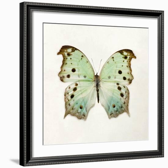 Butterfly Impression-Irene Suchocki-Framed Giclee Print