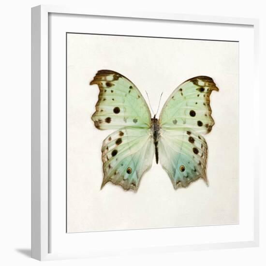 Butterfly Impression-Irene Suchocki-Framed Giclee Print