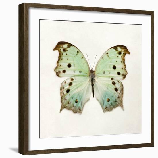 Butterfly Impression-Irene Suchocki-Framed Giclee Print