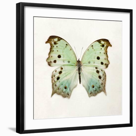 Butterfly Impression-Irene Suchocki-Framed Giclee Print