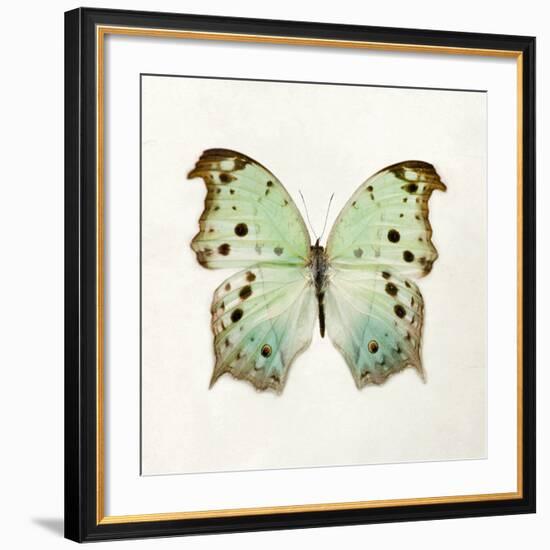 Butterfly Impression-Irene Suchocki-Framed Giclee Print