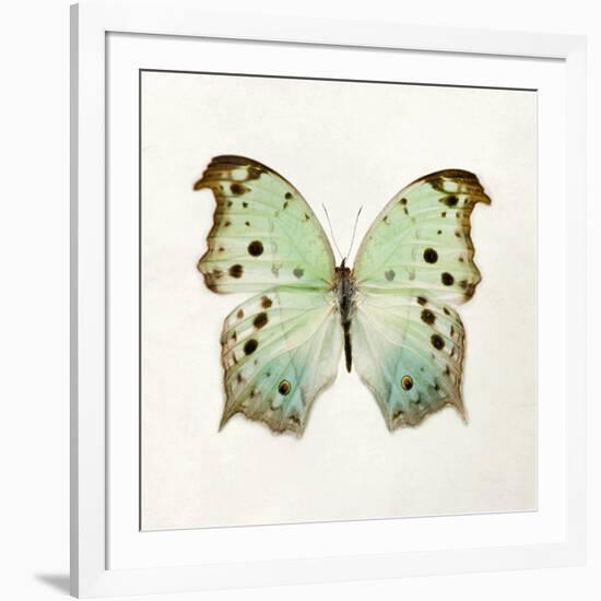 Butterfly Impression-Irene Suchocki-Framed Giclee Print