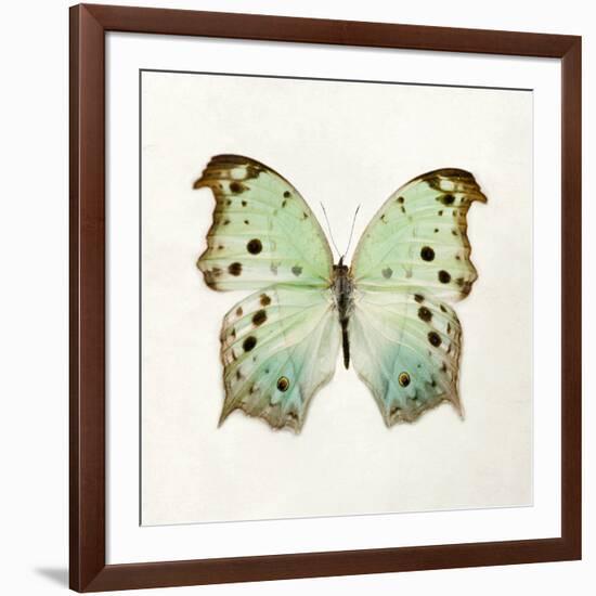 Butterfly Impression-Irene Suchocki-Framed Giclee Print