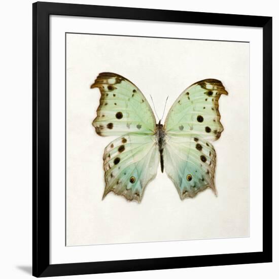 Butterfly Impression-Irene Suchocki-Framed Giclee Print