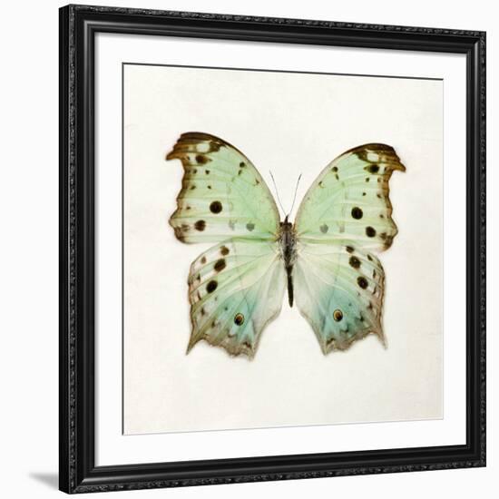 Butterfly Impression-Irene Suchocki-Framed Giclee Print