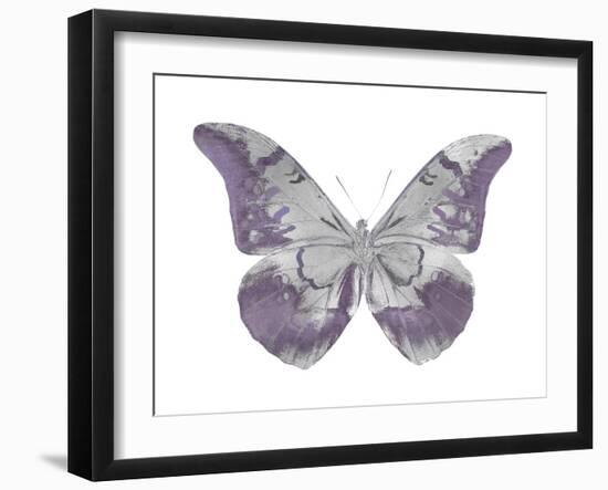 Butterfly in Amethyst I-Julia Bosco-Framed Art Print