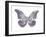 Butterfly in Amethyst I-Julia Bosco-Framed Art Print