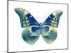 Butterfly in Aqua I-Julia Bosco-Mounted Art Print