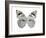 Butterfly in Grey II-Julia Bosco-Framed Art Print