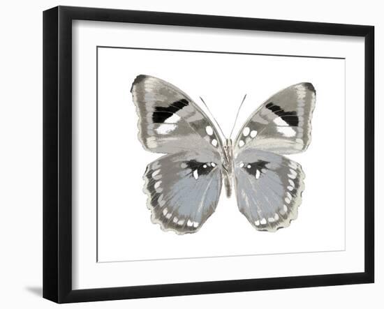 Butterfly in Grey II-Julia Bosco-Framed Art Print