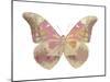 Butterfly in Grey IV-Julia Bosco-Mounted Art Print