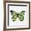 Butterfly in Lime-Cat Coquillette-Framed Giclee Print