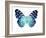 Butterfly in Metallic II-Julia Bosco-Framed Art Print