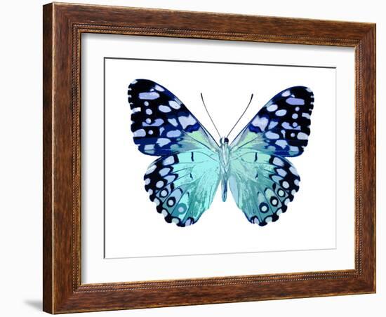 Butterfly in Metallic II-Julia Bosco-Framed Art Print
