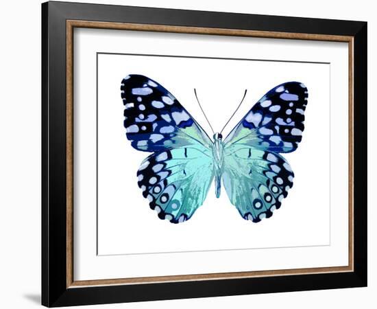 Butterfly in Metallic II-Julia Bosco-Framed Art Print