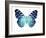 Butterfly in Metallic II-Julia Bosco-Framed Art Print