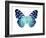 Butterfly in Metallic II-Julia Bosco-Framed Art Print