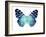 Butterfly in Metallic II-Julia Bosco-Framed Art Print