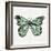 Butterfly in Mint-Cat Coquillette-Framed Giclee Print