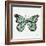 Butterfly in Mint-Cat Coquillette-Framed Giclee Print