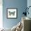 Butterfly in Mint-Cat Coquillette-Framed Giclee Print displayed on a wall