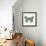 Butterfly in Mint-Cat Coquillette-Framed Giclee Print displayed on a wall