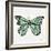 Butterfly in Mint-Cat Coquillette-Framed Giclee Print