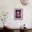 Butterfly in Purple Shadow-Ikuko Kowada-Framed Giclee Print displayed on a wall