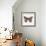 Butterfly in Rose Gold-Cat Coquillette-Framed Giclee Print displayed on a wall