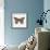 Butterfly in Rose Gold-Cat Coquillette-Framed Giclee Print displayed on a wall