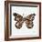 Butterfly in Rose Gold-Cat Coquillette-Framed Giclee Print