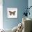 Butterfly in Rose Gold-Cat Coquillette-Framed Giclee Print displayed on a wall