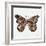 Butterfly in Rose Gold-Cat Coquillette-Framed Giclee Print