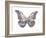 Butterfly in Teal and Blue-Julia Bosco-Framed Art Print