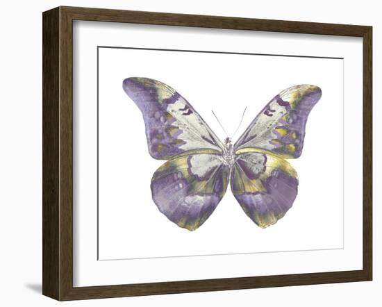 Butterfly in Teal and Blue-Julia Bosco-Framed Art Print