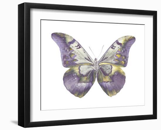 Butterfly in Teal and Blue-Julia Bosco-Framed Art Print