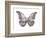 Butterfly in Teal and Blue-Julia Bosco-Framed Art Print