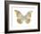 Butterfly in Teal II-Julia Bosco-Framed Art Print