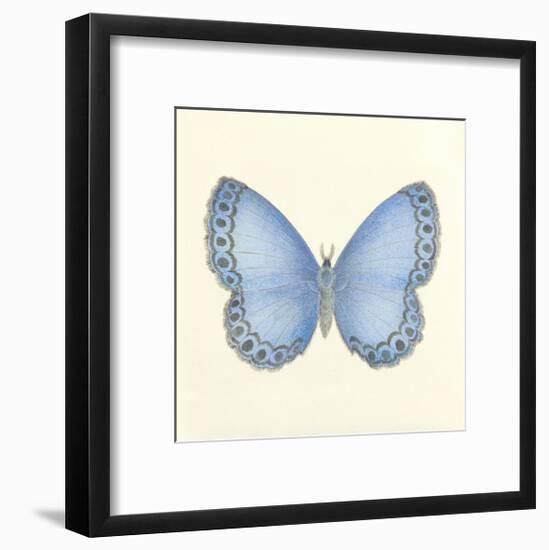 Butterfly IV-Sophie Golaz-Framed Premium Giclee Print