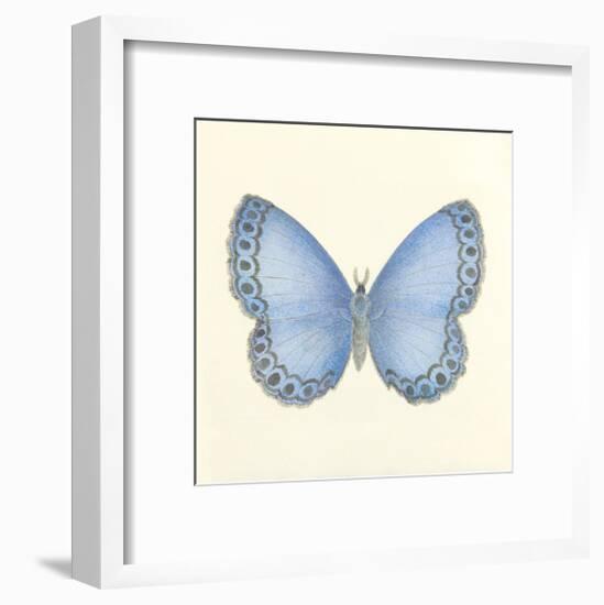 Butterfly IV-Sophie Golaz-Framed Premium Giclee Print