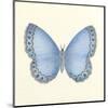Butterfly IV-Sophie Golaz-Mounted Premium Giclee Print
