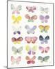 Butterfly Kaleidoscope-Joelle Wehkamp-Mounted Giclee Print