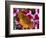 Butterfly Landing on Flowers-Ralph Morsch-Framed Photographic Print