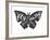 Butterfly Lettering Poster-zapolzun-Framed Art Print